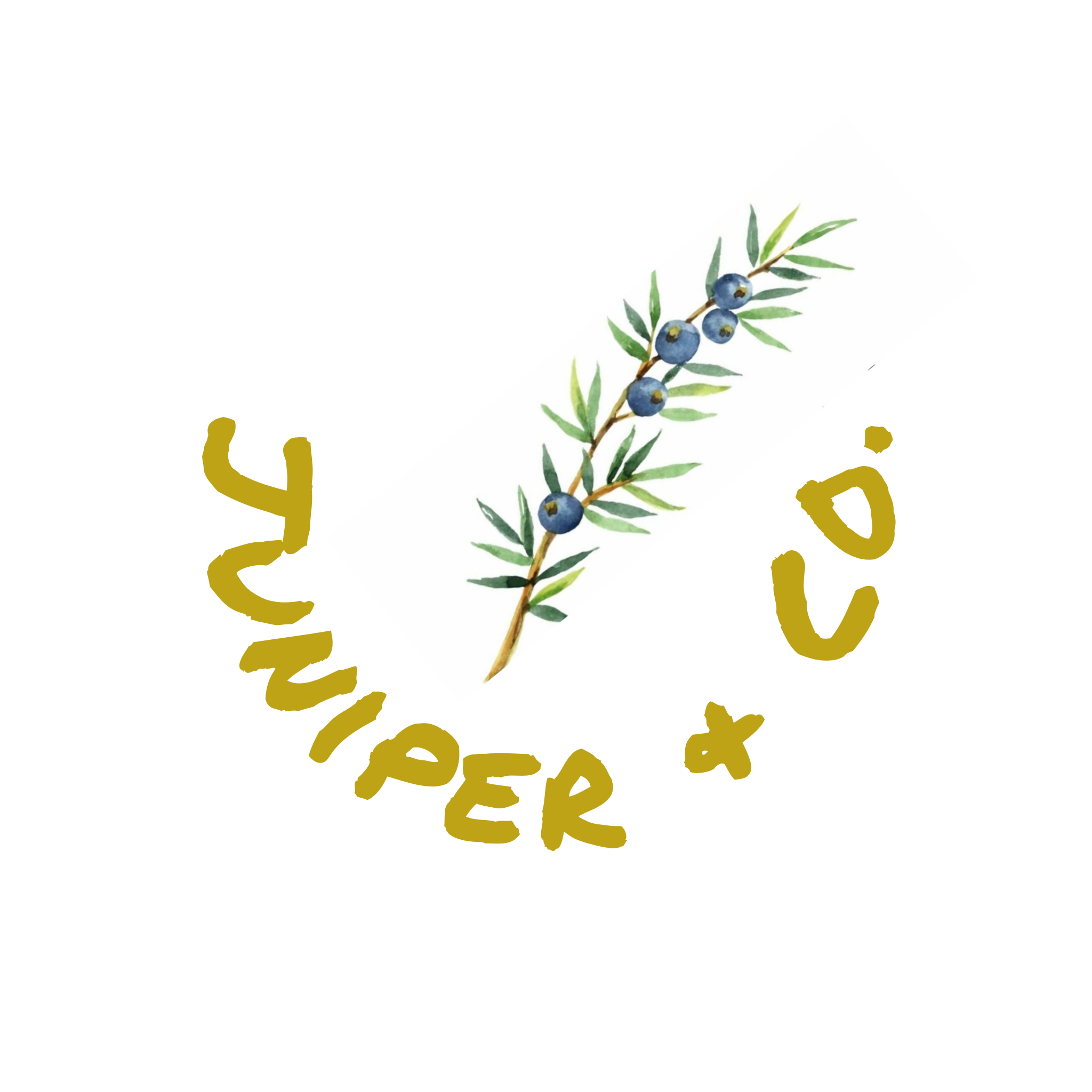 thejuniperandco